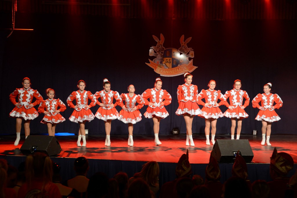 ../Images/Dansmarieke festival 2015 069.jpg